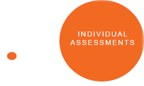 Individual Assessments